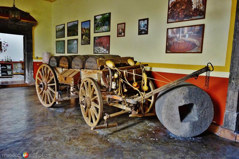 Museo Los Abuelos Tequila Jalisco