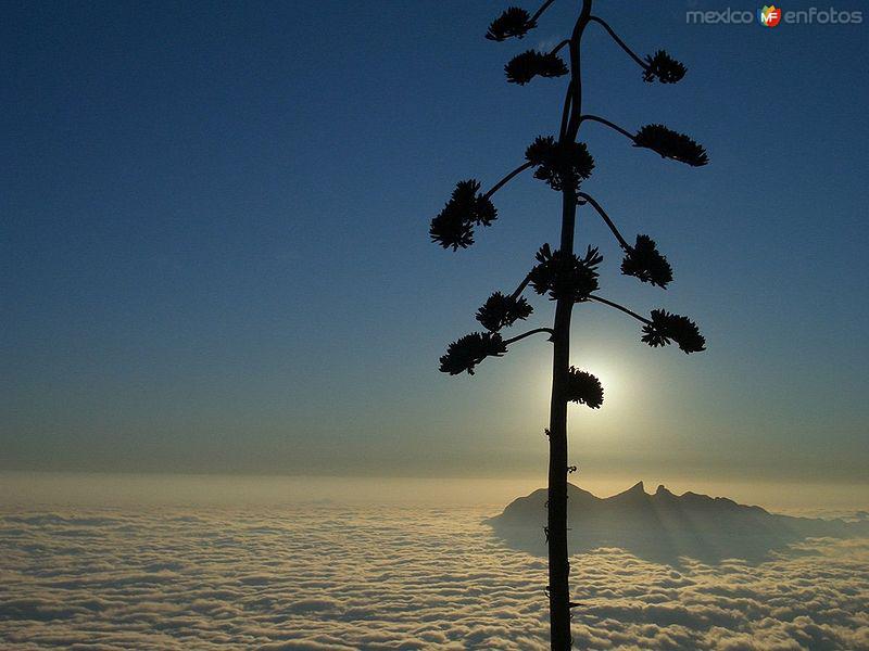 Fotos Aereas de Mexico: Parte II (Monterrey)