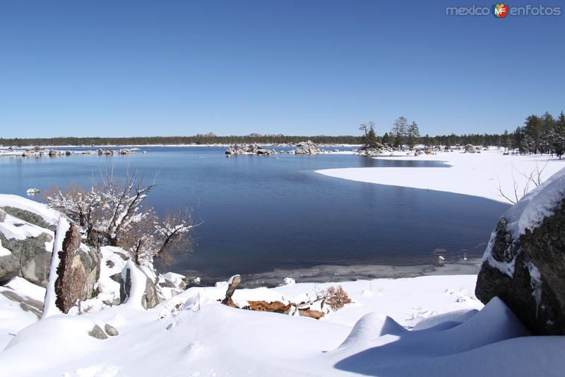 Laguna Hanson - Sierra De Juárez, Baja California (MX13513150119997)