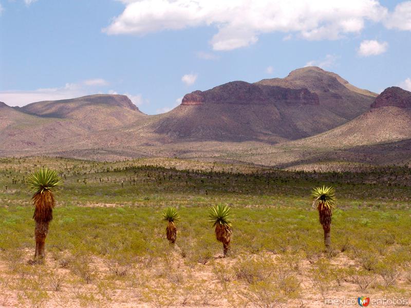 Reserva Protegida Cañón de Santa Elena