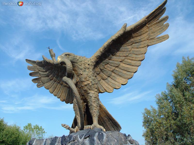 Águila devorando una serpiente - Piedras Negras, Coahuila (MX12182346155762)