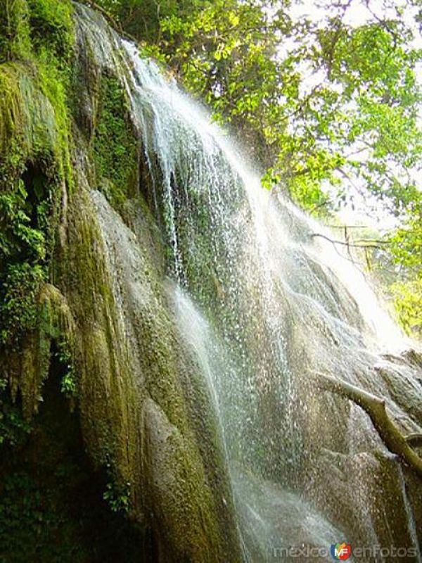 Cascadas de Micos