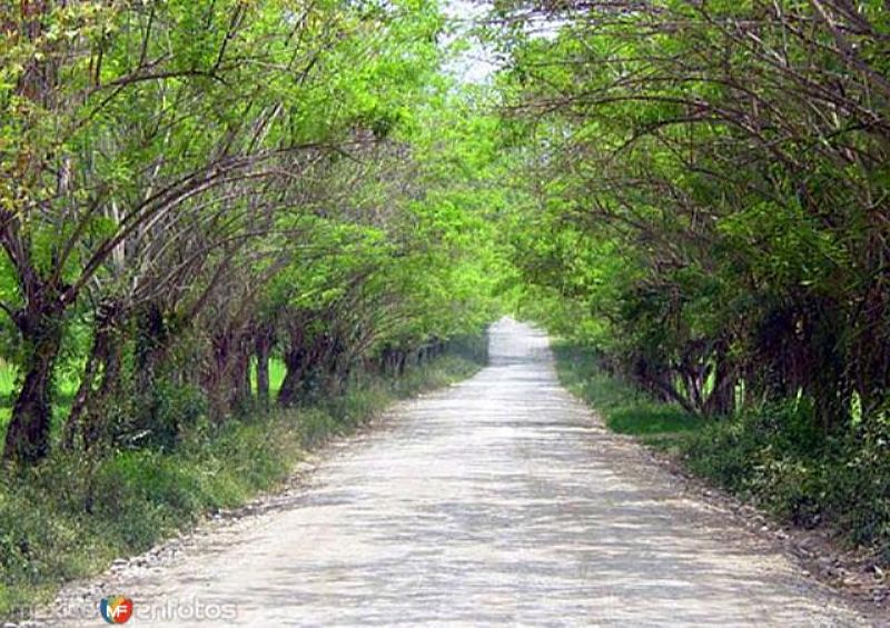 Camino a Tambaque