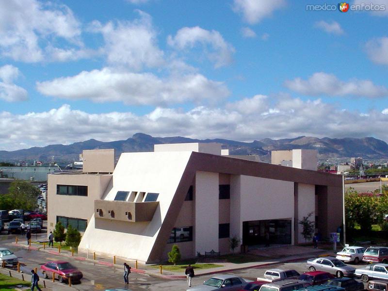 Instituto de Ingeniería y Tecnología: Biblioteca