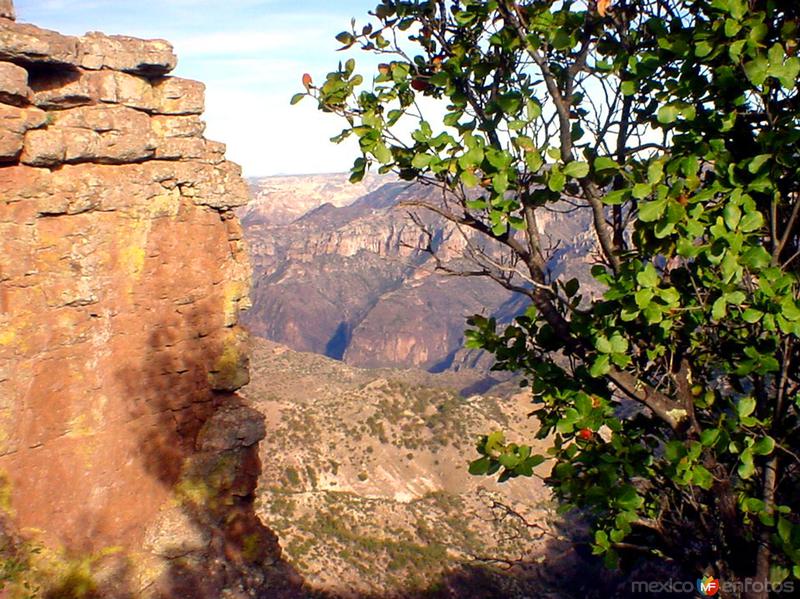 Sierra Madre Occidental