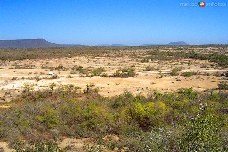 Valle de los Mamuts