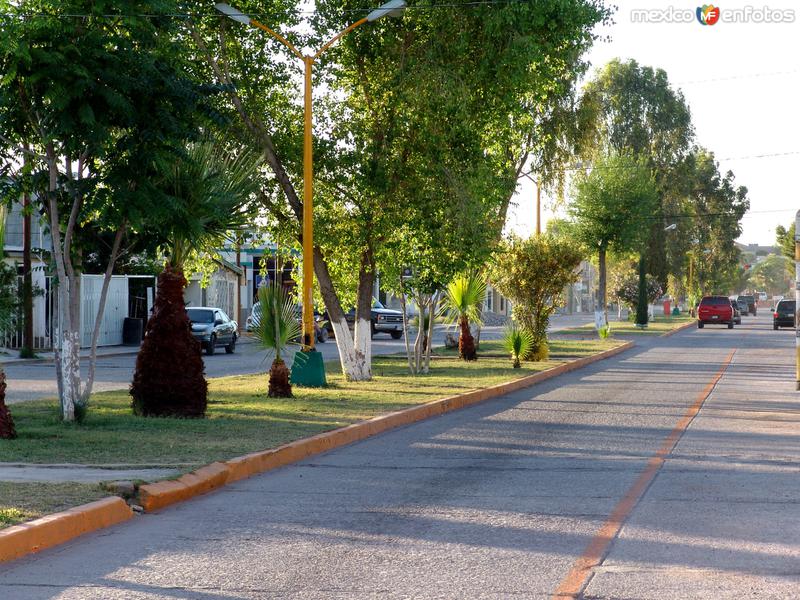 Avenida General Trasviña y Retes