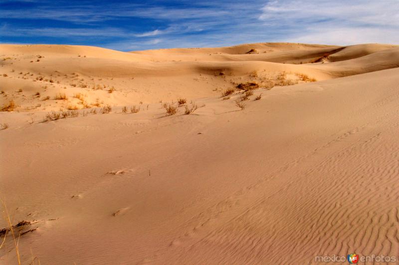 Dunas de Samalayuca