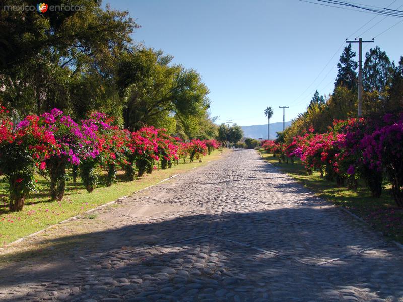 Caminos dentro de la antigua hacienda