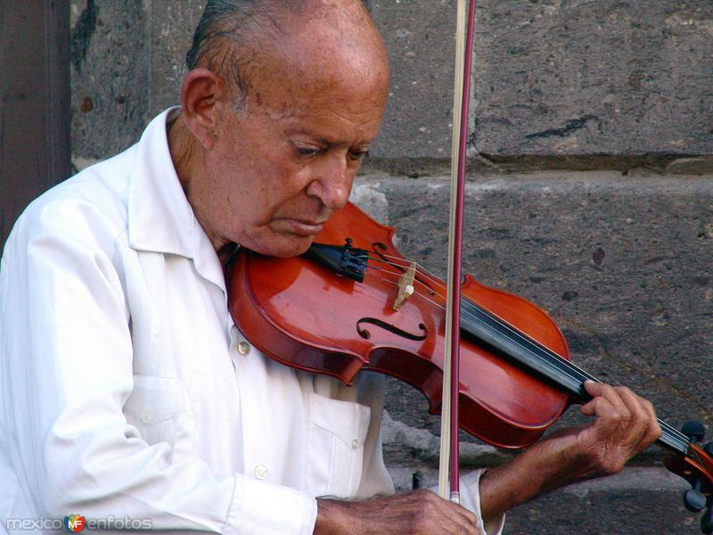 Violinista