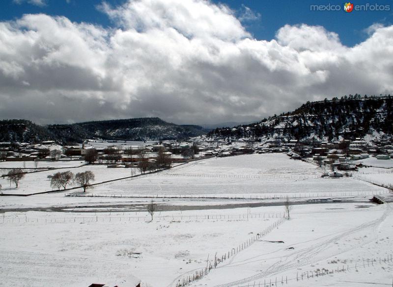 Paisaje nevado en Sisoguichi