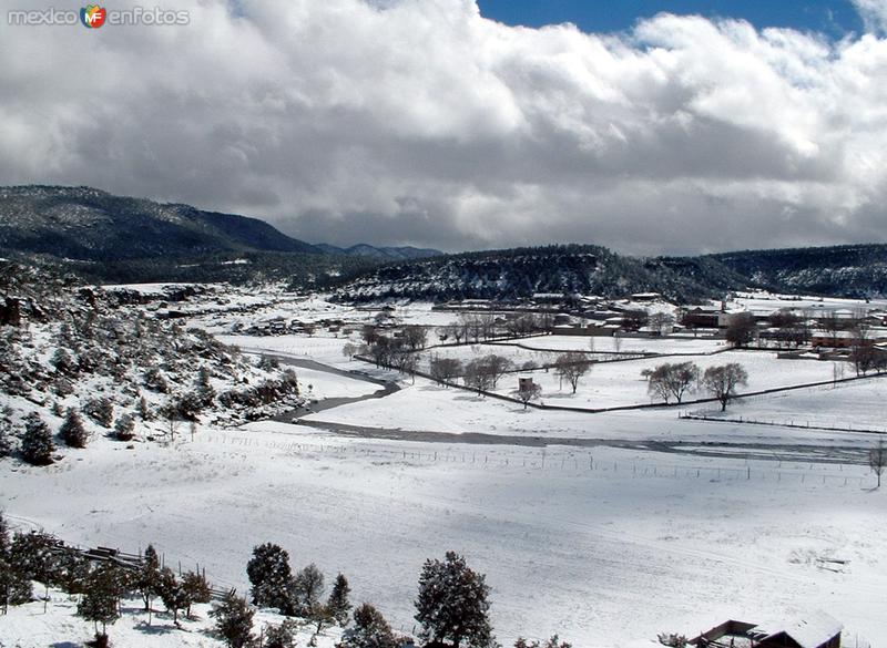 Paisaje nevado en Sisoguichi