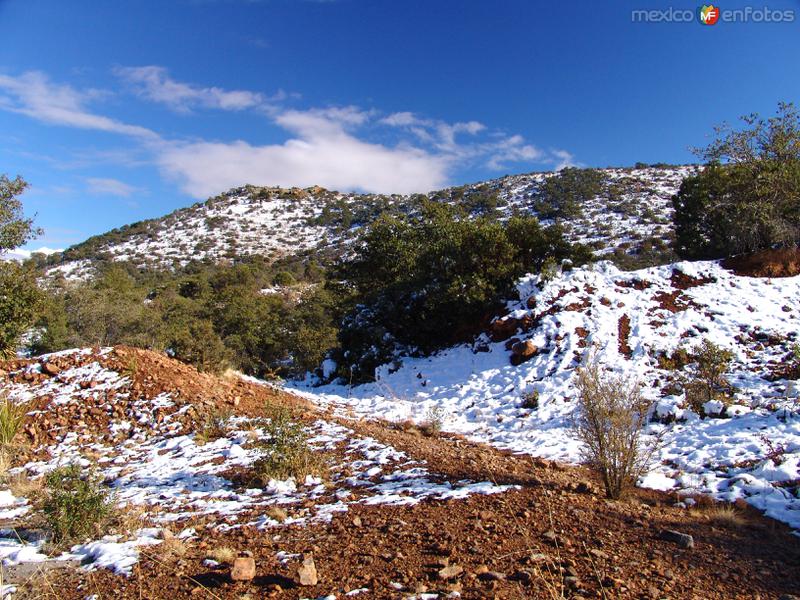 Nieve en la Sierra de San Luis