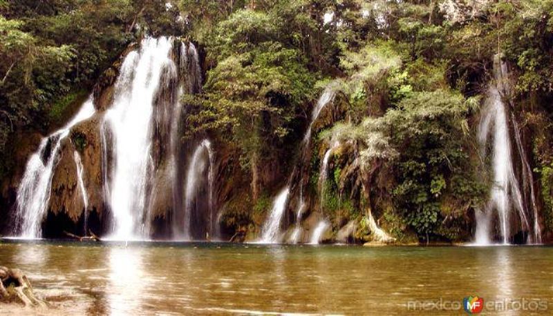 Cascadas de Tamasopo - Tamasopo, San Luis Potosí (MX12182438283306)