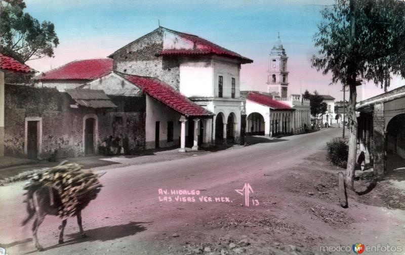 Ave Hidalgo - Las Vigas de Ramírez, Veracruz (MX12182440617480)