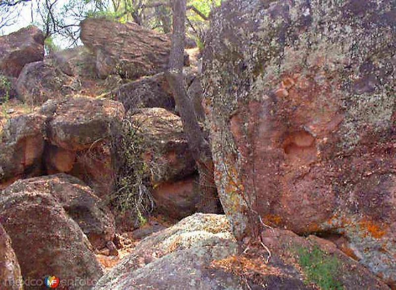 Paisajes de Cucurpe