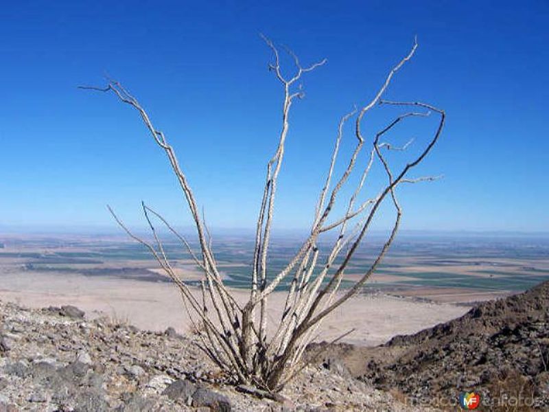 Cerro del Centinela