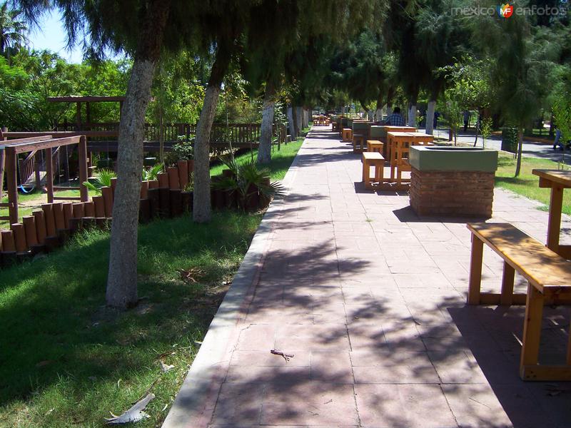 Bosque de la Ciudad