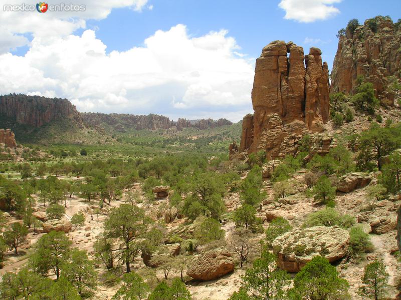 Fotos de Sombrerete, Zacatecas, México: Sierra de Órganos