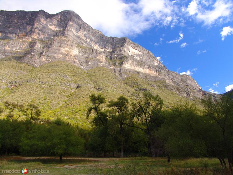 Cañón de Bustamante