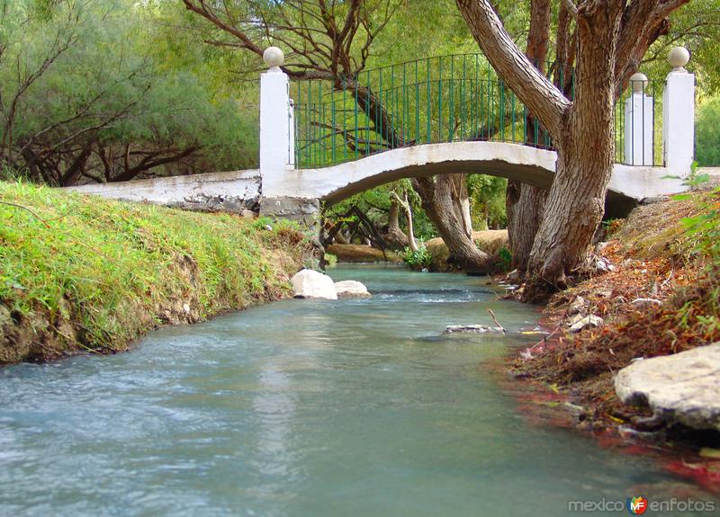 El Ojo de Agua del Cañón