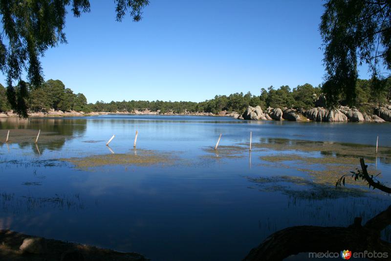 Lago Arareco