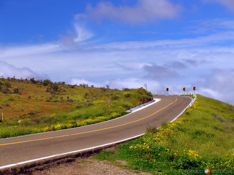 Carretera Transpeninsular (México-1)