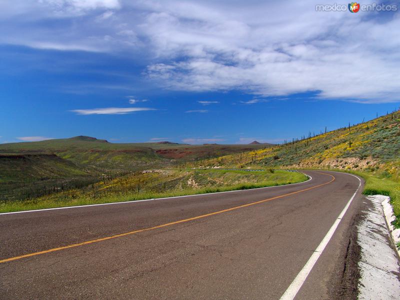 Carretera Transpeninsular (México-1)