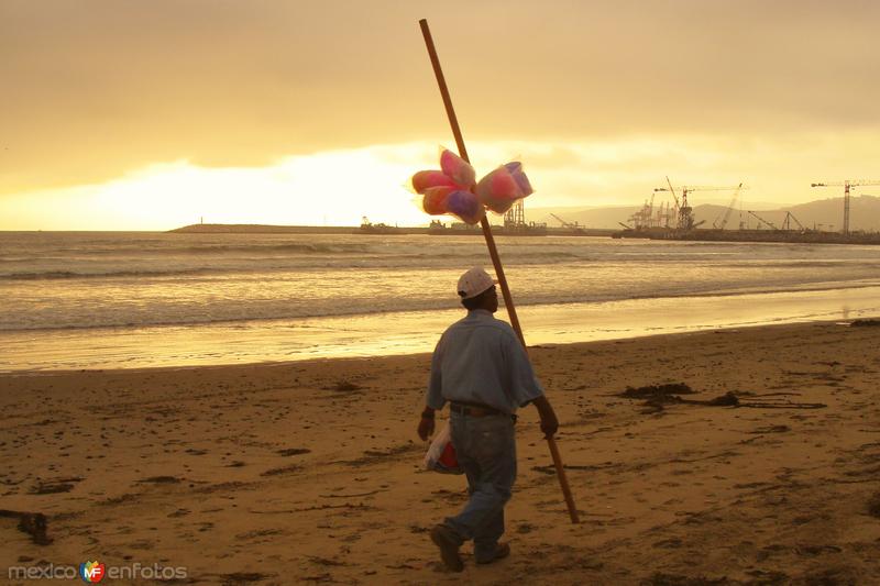 Algodonero en las playas de Rosarito