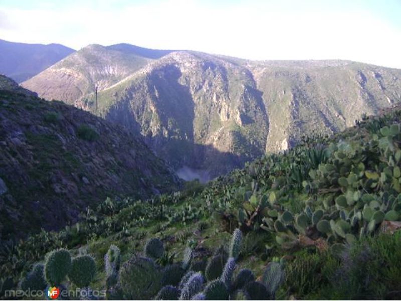 En la sierra del Real