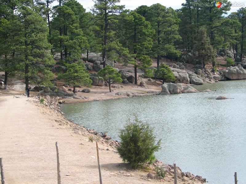 Lago Arareko