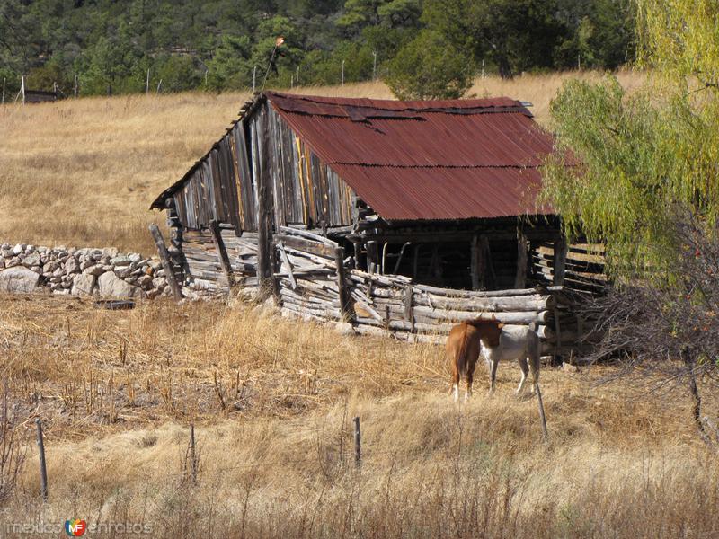 Cabañas