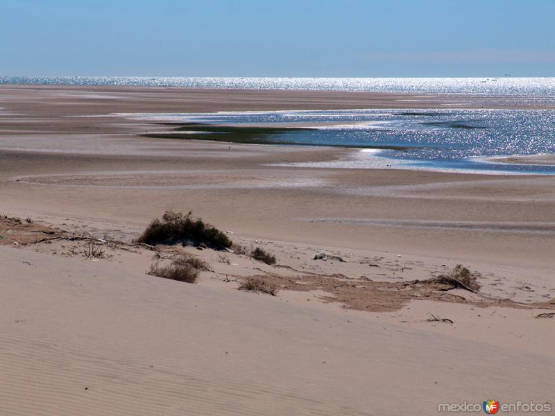 Golfo de Santa Clara