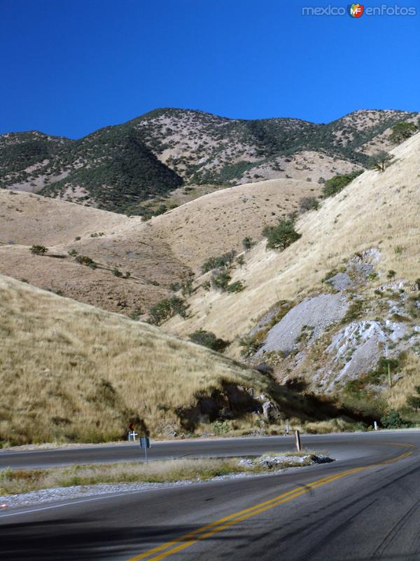 Sierra de Sonora (Sierra Madre Occidental)