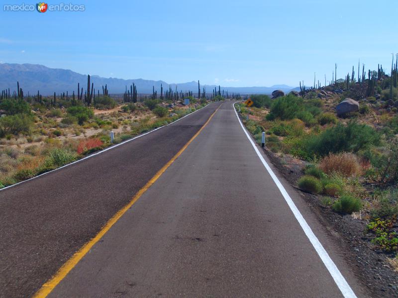 Carretera Transpeninsular (México - 1)