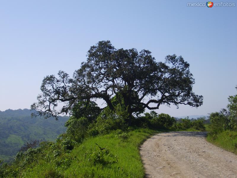 Camino de terracería