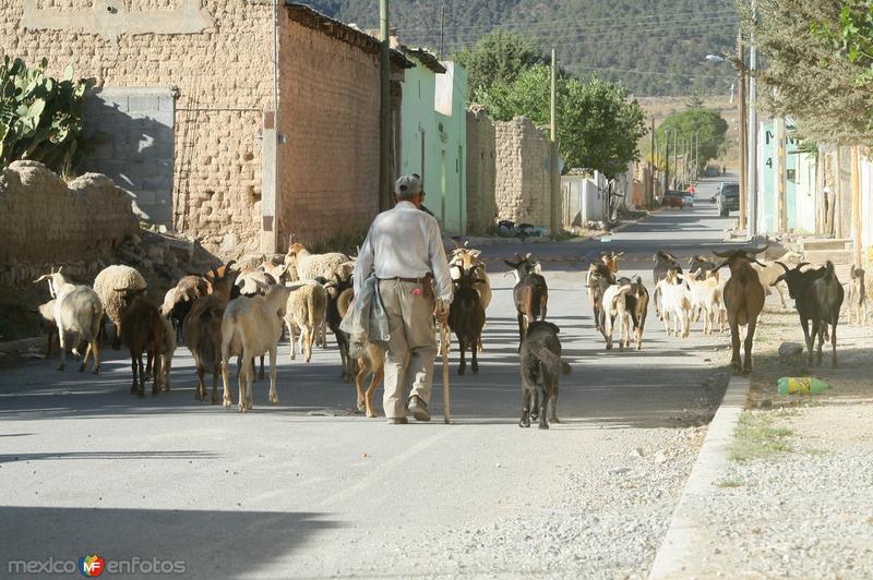 SAN ANTONIO DE LAS ALAZANAS