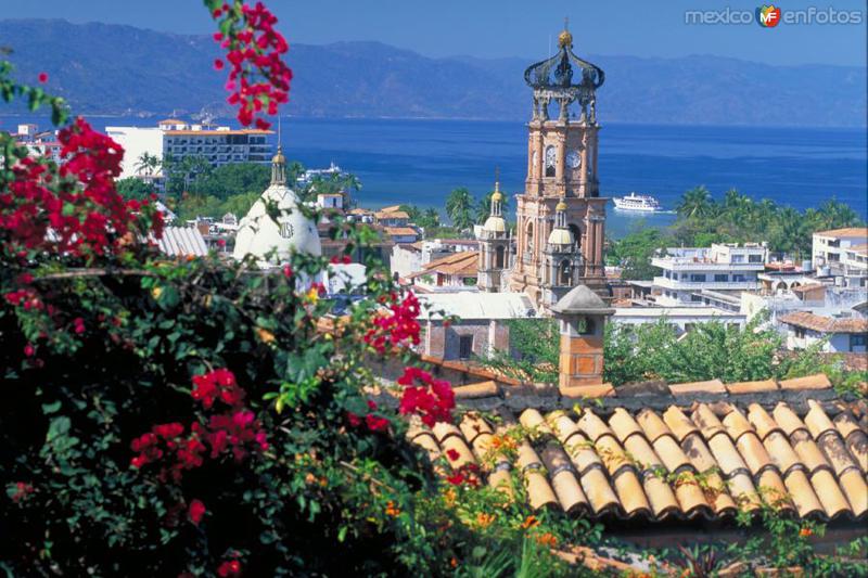 Bugambilias! Hermoso Vallarta!