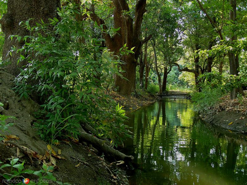 trópico exhuberante