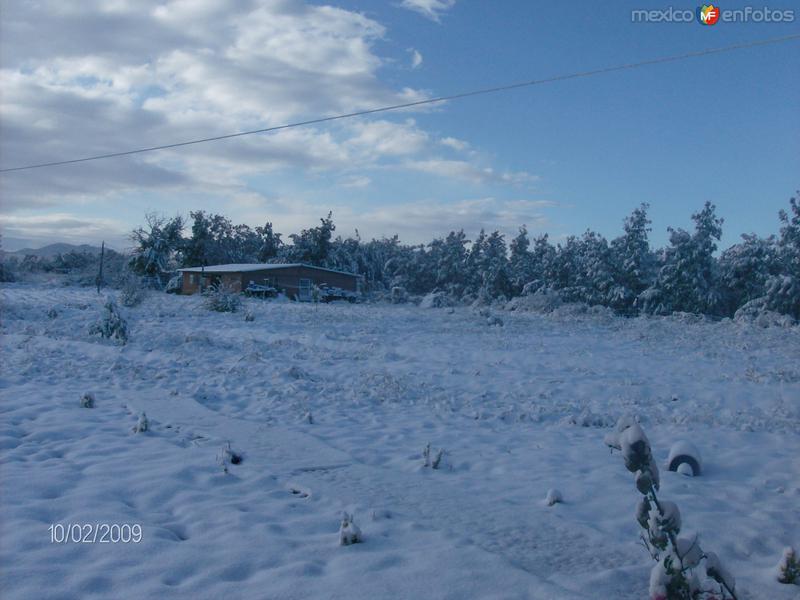 nevado