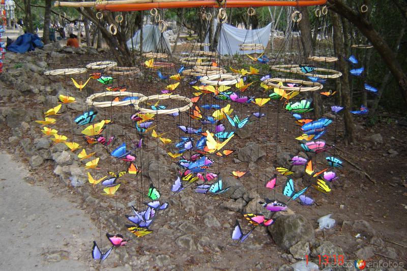 Mariposas de Colores