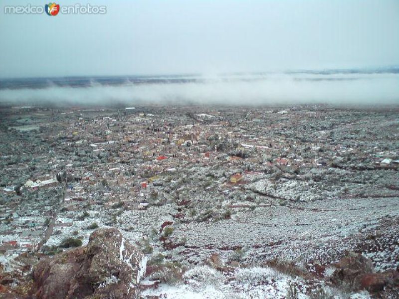 PANORAMA DE PINOS