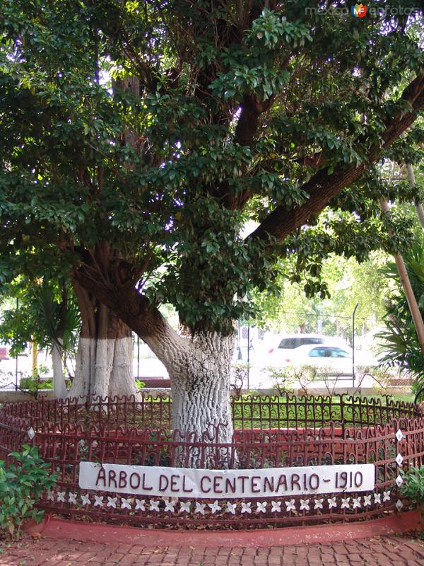 Parque Zoológico Centenario