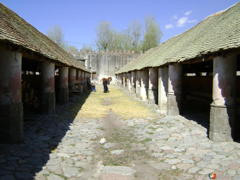 Macheros de la ex-hacienda de Soltepec, Tlaxcala. 2011