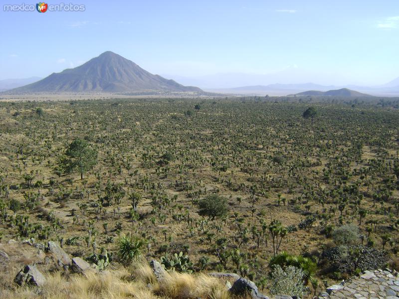 Vista del altiplano desde el mirador. Cantona 2011