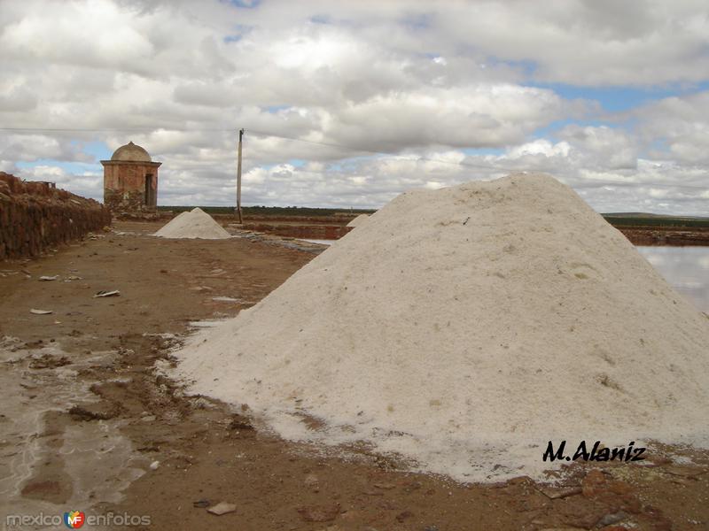 la cosecha de la sal en las pilas