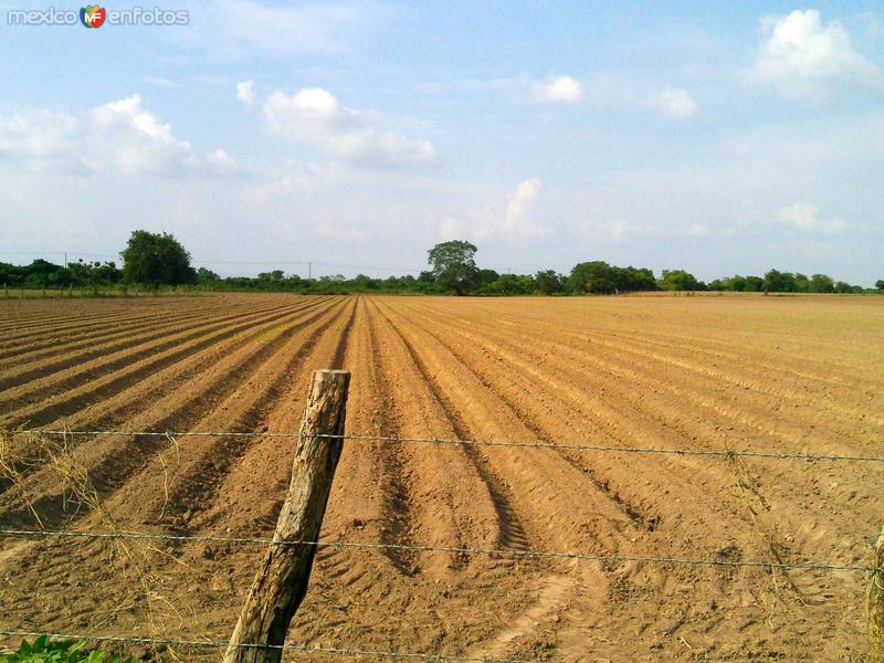 Campos Agrícolas