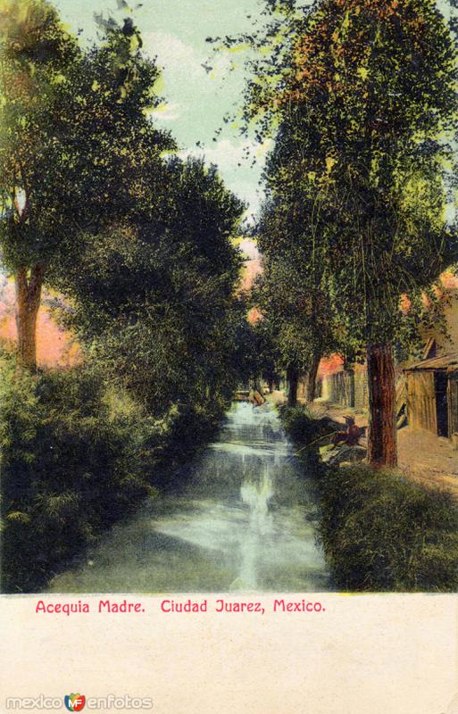 Acequia Madre