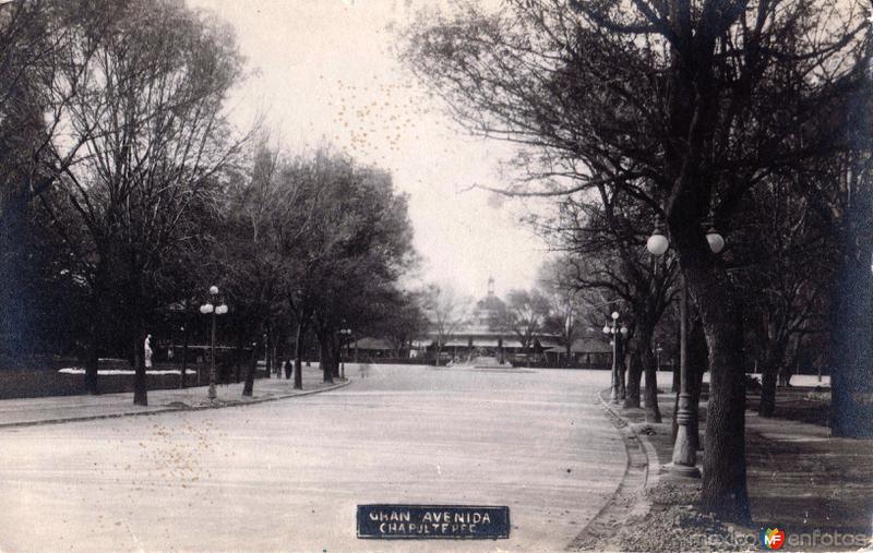 Gran Avenida Chapultepec