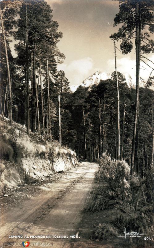 Camino al Volcán Nevado de Toluca